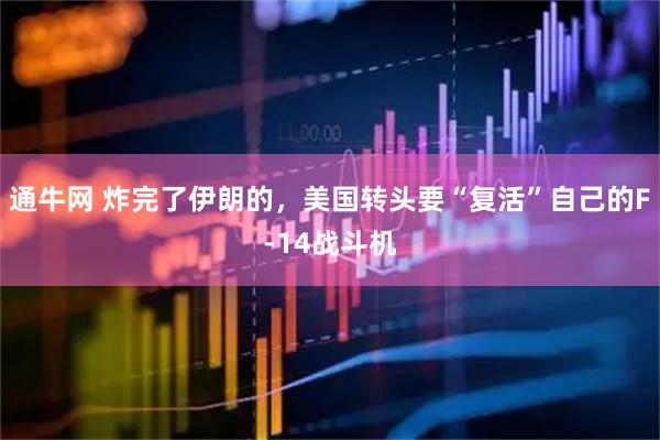 通牛网 炸完了伊朗的，美国转头要“复活”自己的F-14战斗机