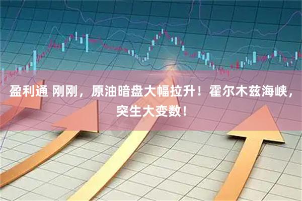 盈利通 刚刚，原油暗盘大幅拉升！霍尔木兹海峡，突生大变数！