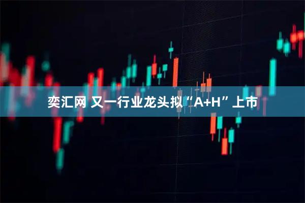 奕汇网 又一行业龙头拟“A+H”上市