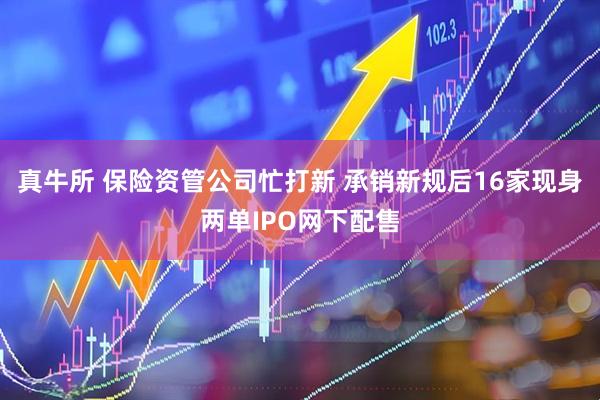真牛所 保险资管公司忙打新 承销新规后16家现身两单IPO网下配售
