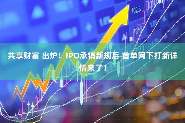 共享财富 出炉！IPO承销新规后 首单网下打新详情来了！